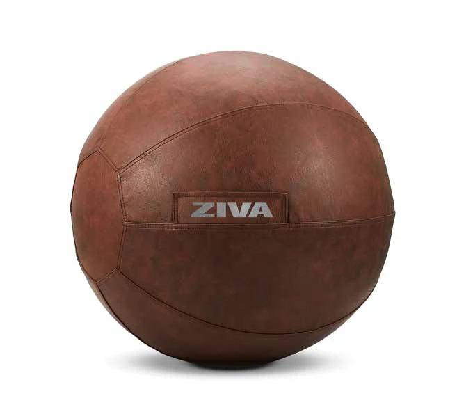 כיסוי לכדור פיטבול ZVO ZIVA ZVO