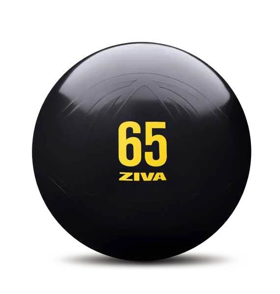 כדור פיטבול ZVO ZIVA ZVO